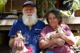Man with long, white beard and women with dark, curly hair each holding a small wallaby in blankets. 