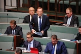 Former prime minister Tony Abbott takes his seat  among the backbenchers