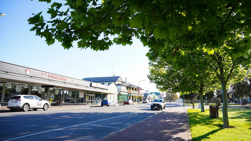 Large trees line a wide street with a supermarket and pub. Two cars drive past.