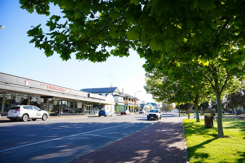 Large trees line a wide street featuring a supermarket and pub.