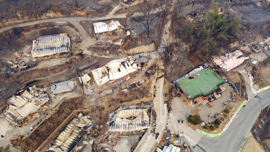 An aerial shot of houses destroyed by a wildfire. 