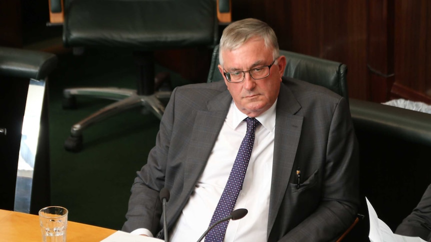Rene Hidding in Parliament