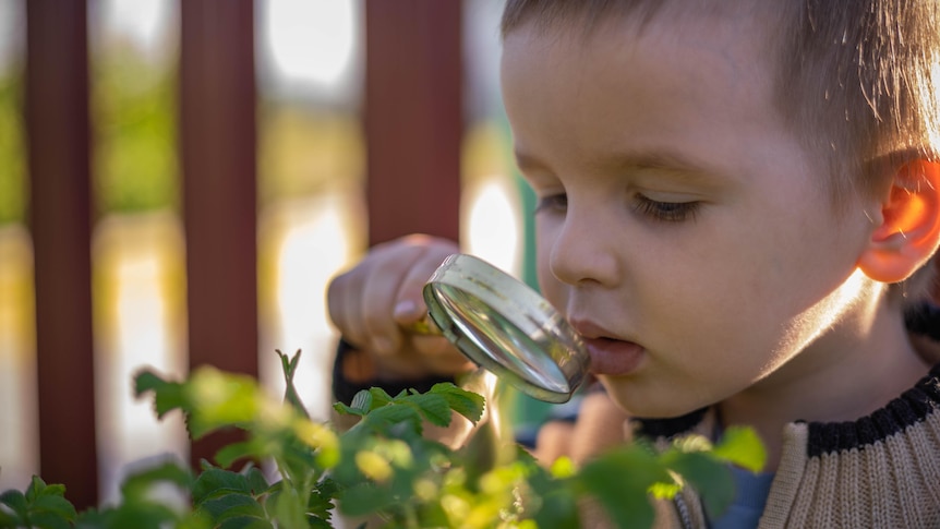 Young boy looking at plants through a magnifying glass. 