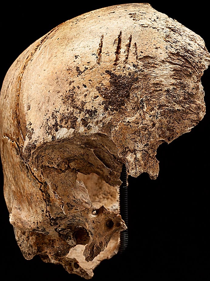 Four shallow chops to an incomplete skull excavated in James Fort.