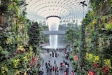 Vertical gardens and a fountain.