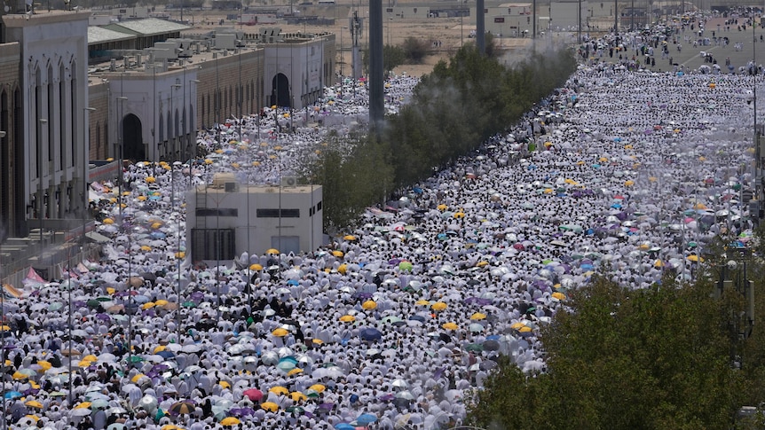 An overhead shot of thousands of pilgrims. There is a mosque building to the left and trees in the centre.