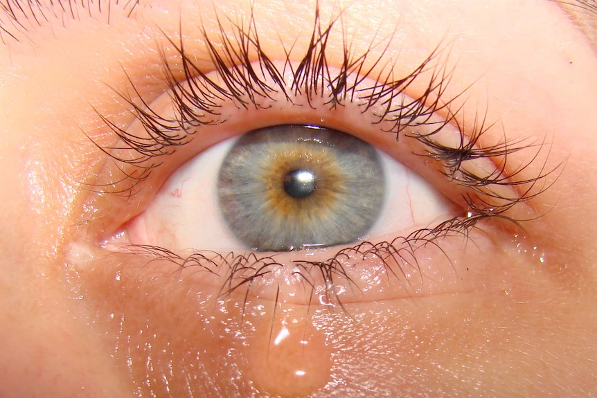Facts About Tears - American Academy of Ophthalmology