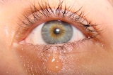 A tear drops from a girl's eye as she cries.