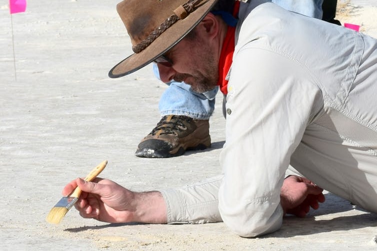 A researcher leans over a salt plain with a brush