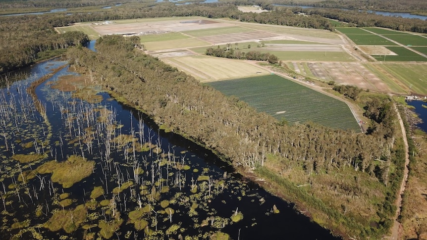 An aerial shot of old cane fields and farming land near a river