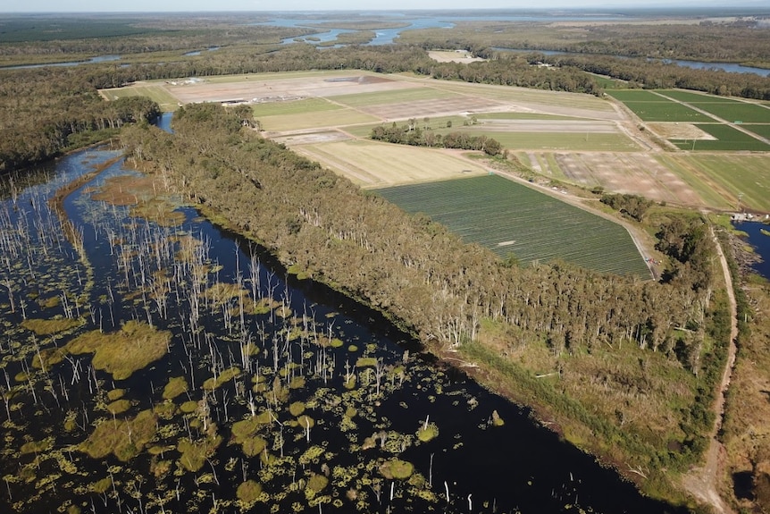 An aerial shot of old cane fields and farming land near a river