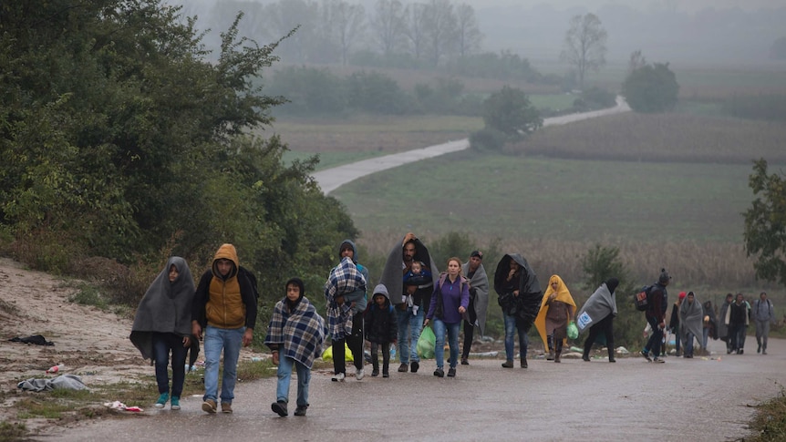 Asylum seekers walk along Croatia-Serbia border