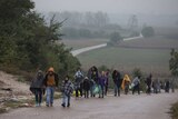 Asylum seekers walk along Croatia-Serbia border