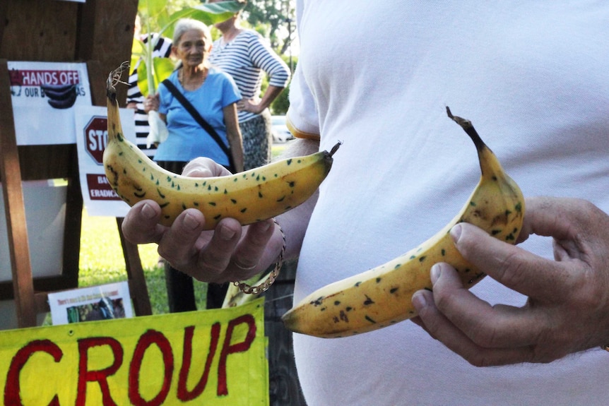 A man holds bananas.