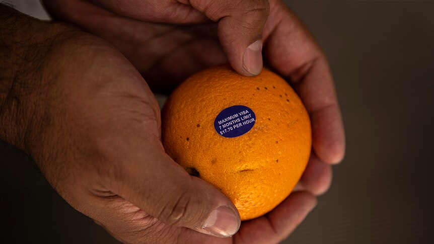 Two hands hold one orange with blue fruit stick with small white text.