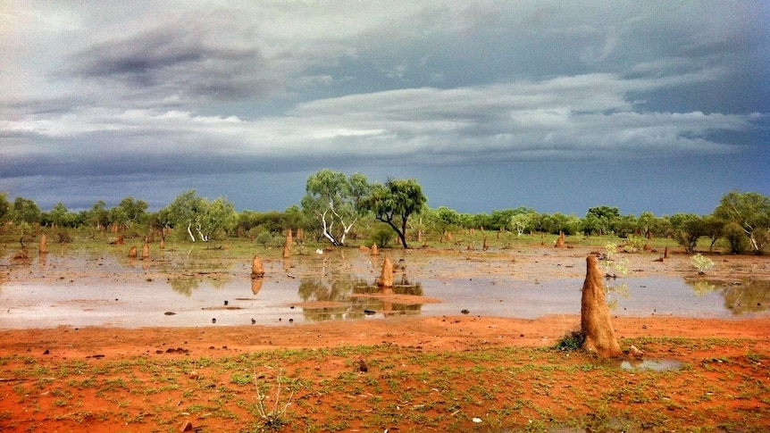 Rain in central Australia