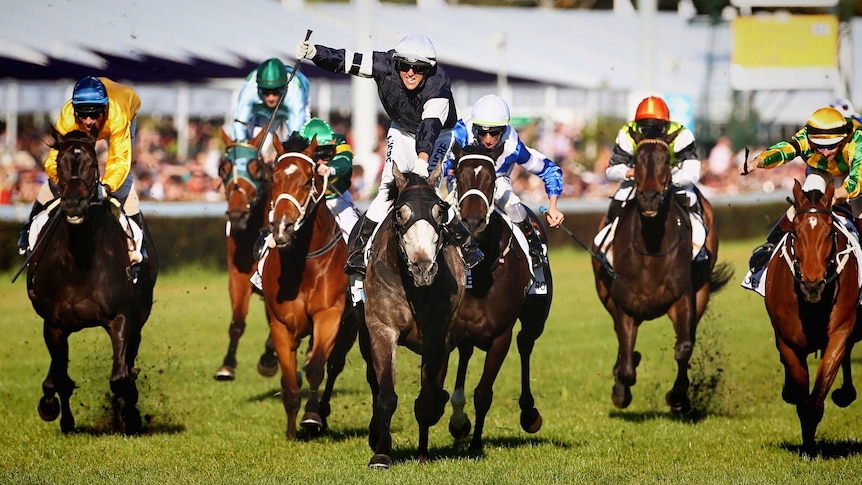 Nicholas Hall (c) celebrates as he rides Fawkner to victory in the Caulfield Cup.