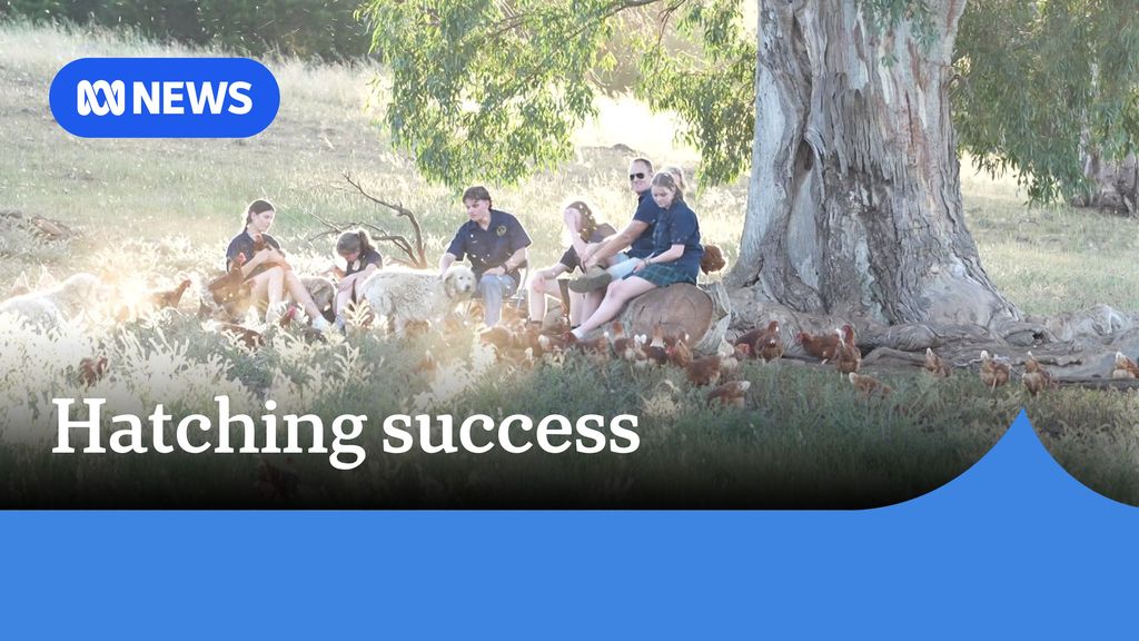 Hatching success: A group of people seated under a large tree in a bucolic setting.