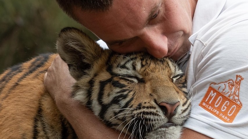 Mogo Zoo forced to close after just weeks of reopening after the bushfires