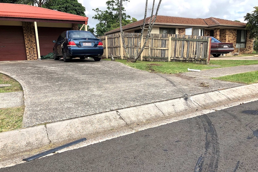 Skid marks and a damaged tree outside a home on a Meadowbrook street.