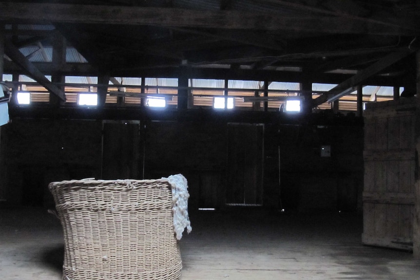 Wool bin waiting to be filled with fresh fleece