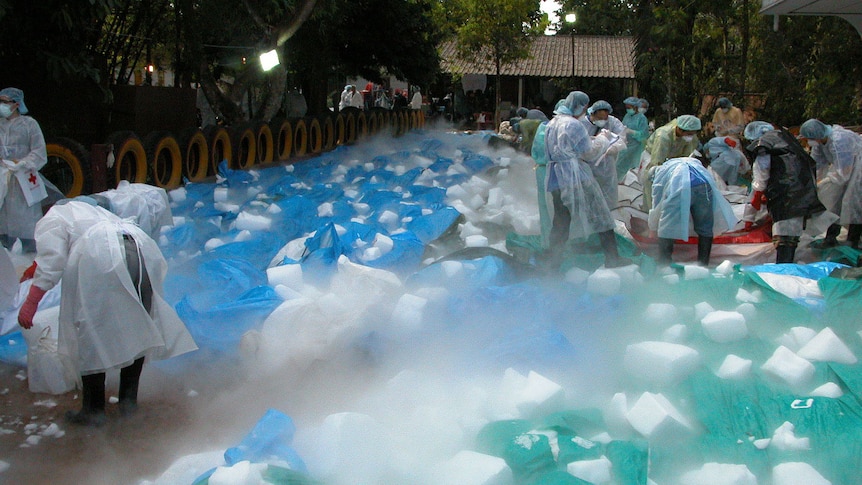 Relief workers with covered bodies packed in dry ice in Thailand after the Boxing Day tsunami in 2004