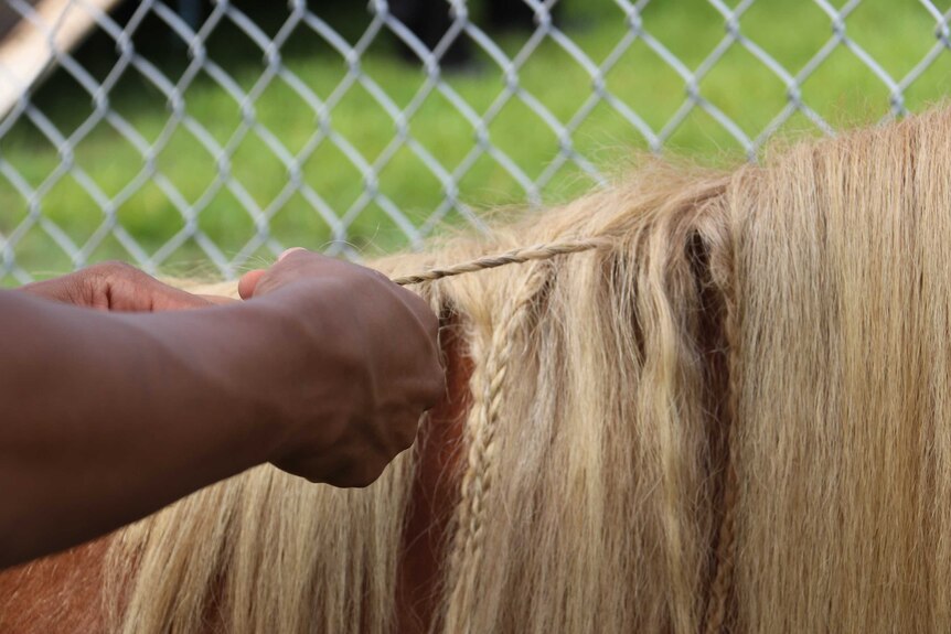 One of the students plats Bella, the shetland pony's hair.