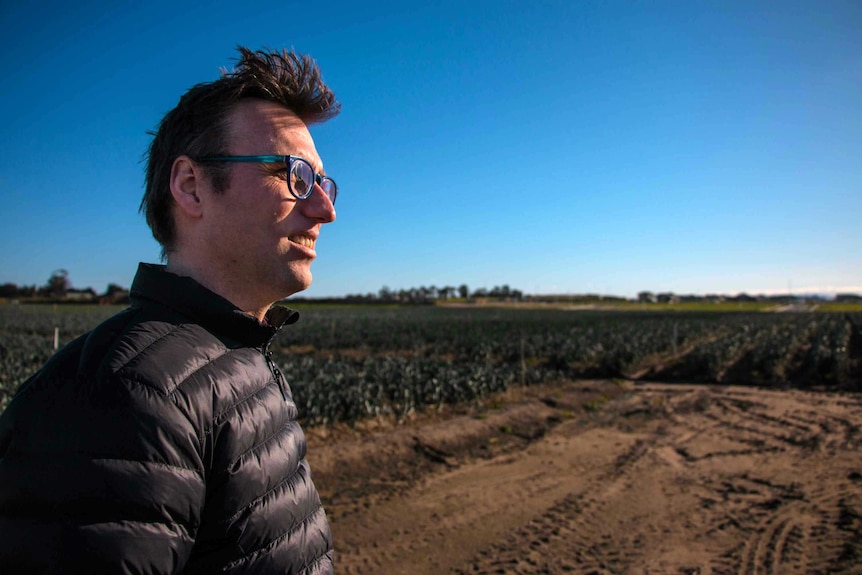 Farmer Chris Schreurs looking out over the last crop he'll grow at Clyde on Melbourne's south east.