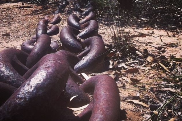 A chain used to clear trees