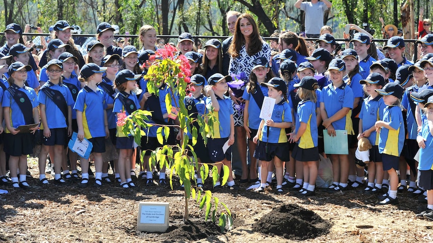 The Duke and Duchess of Cambridge with girl guides after planting a tree at Winmalee Girl Guides Hall.