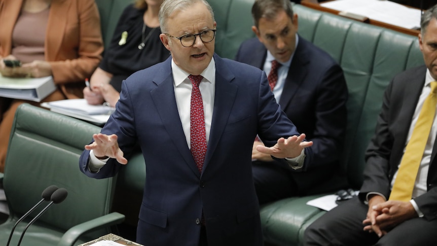 Anthony Albanese speaking with his arms held out. 
