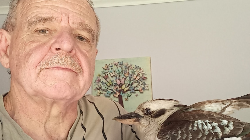 A man with a kookaburra sitting in the palm of his hand