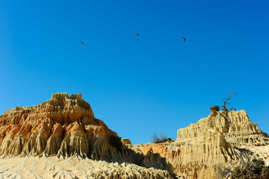 Bright blue sky with three birds flying and orange sandstone dune formations