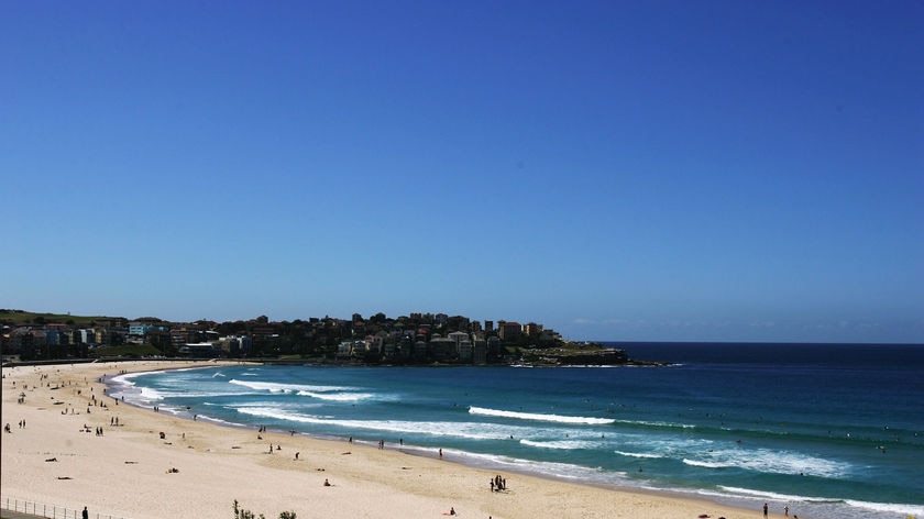 Swimmers return to water after shark sighting closes Sydney's Bondi Beach -  ABC News