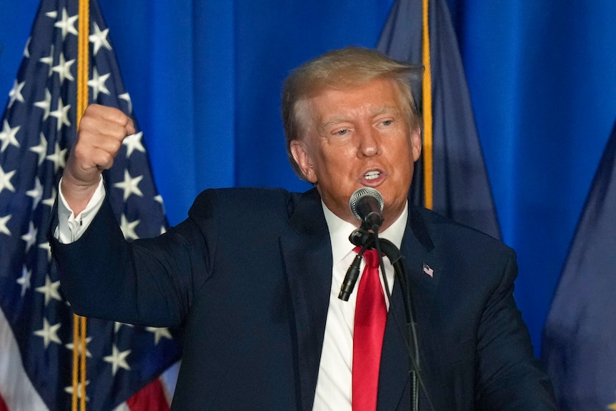 Donald Trump pictured making a fist while speaking into microphone at podium with US flag in background. 