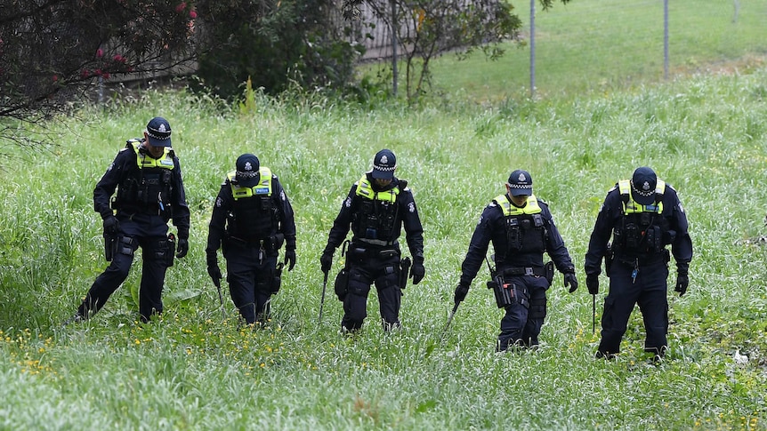 Police officers use sticks to search long grass along a strip of suburban parkland.