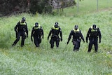 Police officers use sticks to search long grass along a strip of suburban parkland.