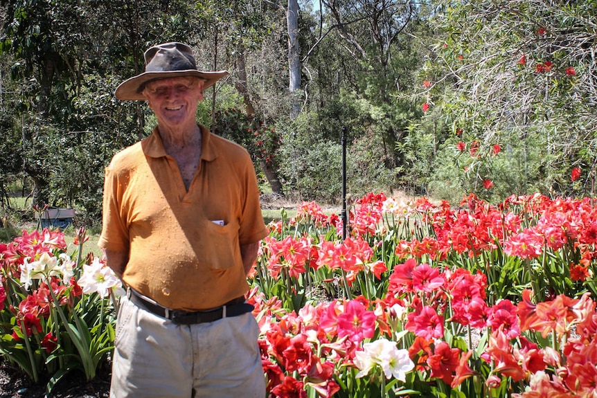 An old man wearing a hat and a grin stands in front of his garden of beautiful red flowers