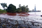 泄露导致尼科尔加工厂附近的海水变为亮红色。