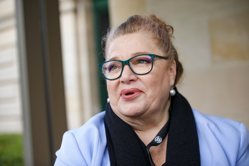 A tight head shot of Sue Ellery speaking outside state parliament, wearing spectacles, a black scarf and blue jacket.