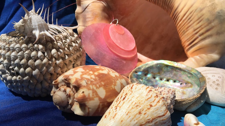 Sell seashells, even on the seashore, and surely breach the law