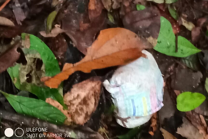 A diaper on a pile of leaves. 