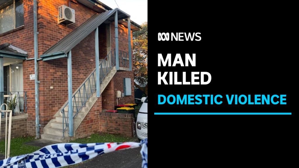Man charged with murder in alleged domestic violence incident - ABC News