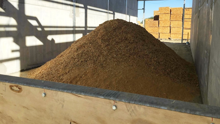 A pile of sawdust.