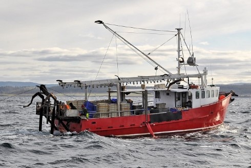 Scallop fishing vessel