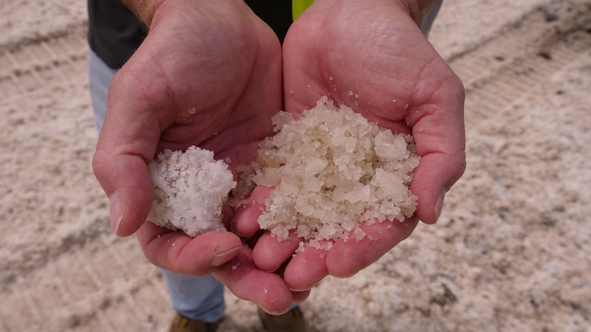 La récolte de sel du nord du Queensland a été durement touchée par le temps humide, la production sur un site en baisse de 40 %