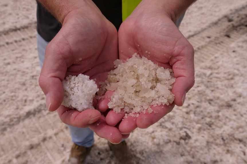 Mains tenant le sel récolté à l'usine australienne Saltworks Bowen