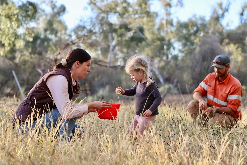 Una joven rubia recogiendo hierba y poniéndola en un cubo, con su mamá y su papá mirando.