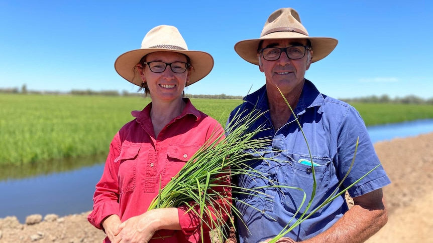 Gogeldrie farmers Marg and Garry Knagge holding cuttings from their 2020/21 rice crop