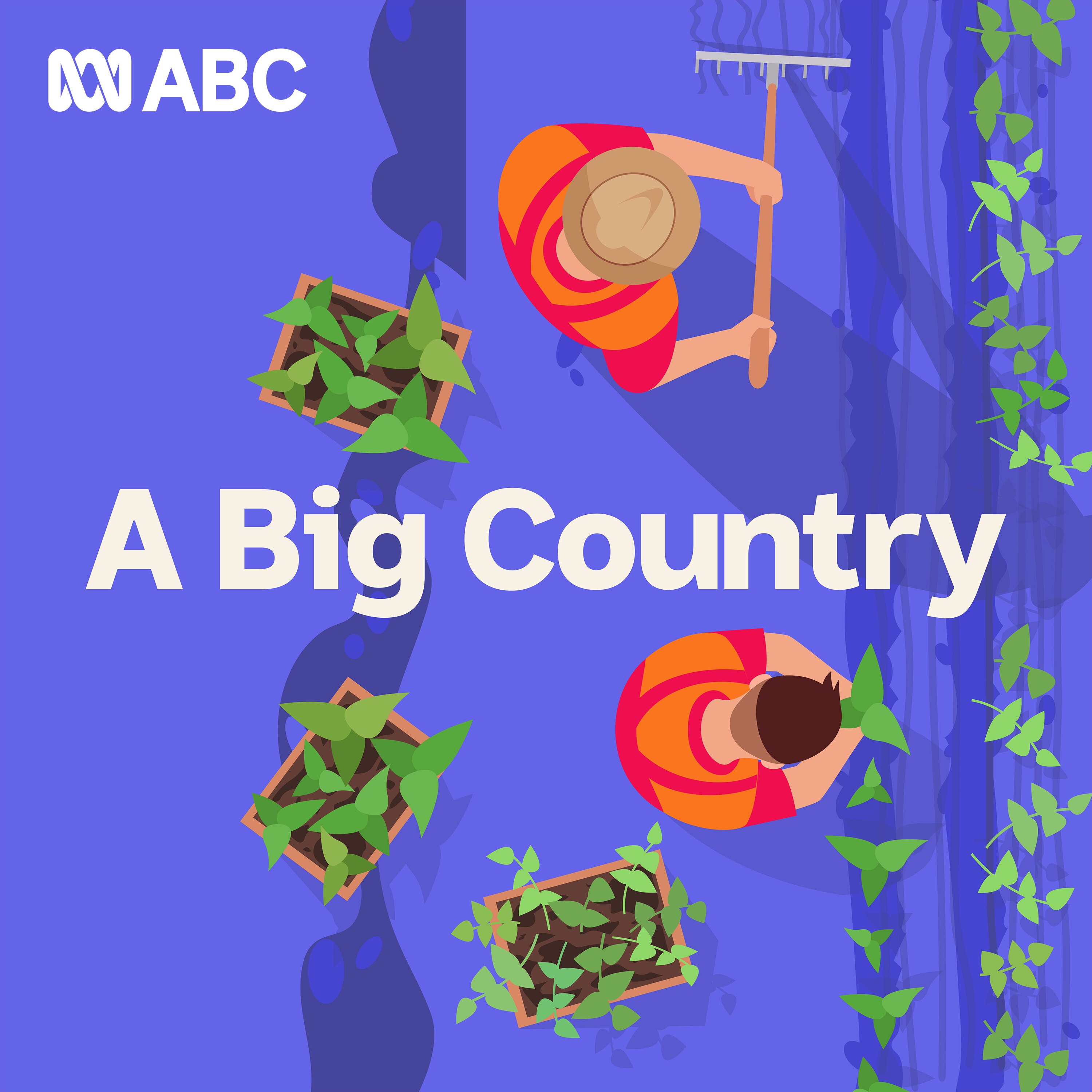 A Big Country